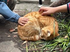 -西园寺素食(西园弄戒幢律寺店)