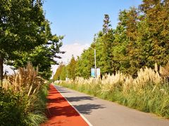 -上海长兴岛郊野公园