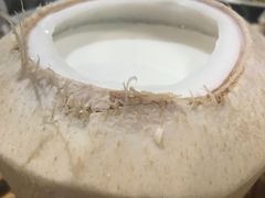 椰青鲜奶冻-禄源公·老莞诚饭店