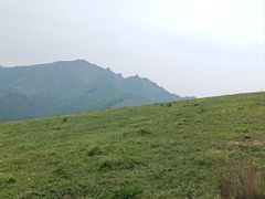 -灵山