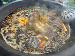 -秦巴石锅鱼(文化南路店)