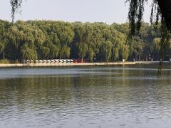 -北陵公园