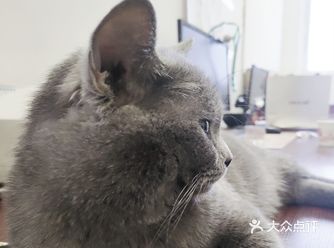它2个月就和我们认识了