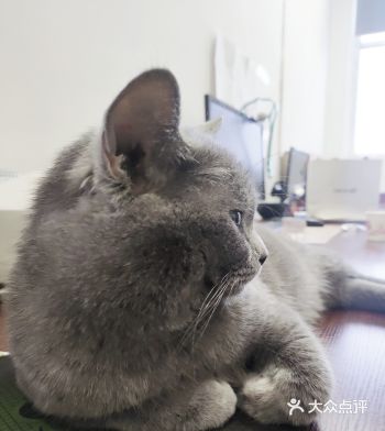 它2个月就和我们认识了