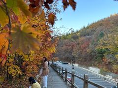 -本溪汤沟绿石谷森林公园