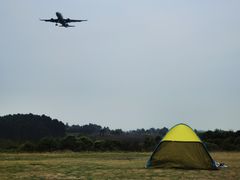 -空港花田景区