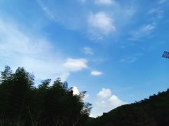 -宁波浙东大竹海景区