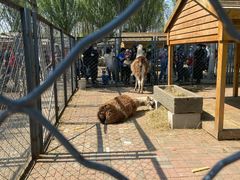 -长白岛森林公园