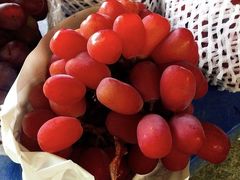 -马陆小张葡萄园农家乐