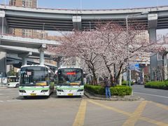 -上海南浦大桥长途旅游客运站