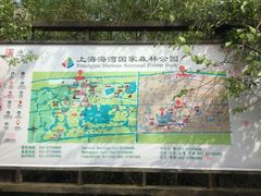 -上海海湾国家森林公园