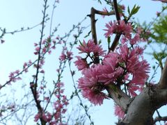 -顺城公园