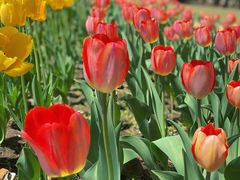 -长春公园(普阳街道)