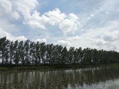 -白渔泡湿地公园