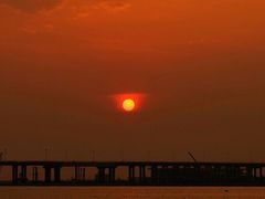 -宝安西湾红树林湿地公园