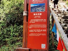 -硗碛藏寨·神木垒景区