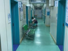 -北京观赏动物医院·24小时大型综合·猫专科·异宠专科