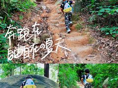 -火炉山森林公园