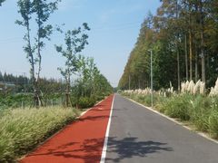 -上海长兴岛郊野公园