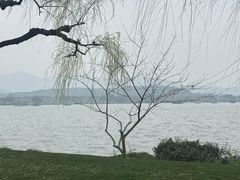 -浙江西子宾馆·牡丹厅