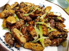 -可达酒店