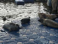 -华夏文旅海洋公园