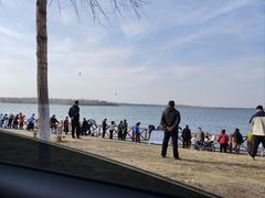 -丁香湖公园