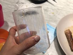 -MR鹅外