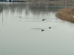 -天津东丽湖风景区