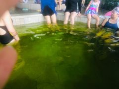 -南宫温泉水世界