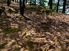 -火炉山森林公园