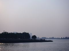 -万绿园