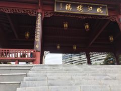 -武昌江滩