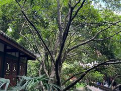 -成都武侯祠博物馆