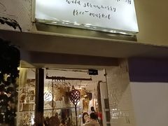-野草莓自由市场