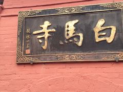 -洛阳白马寺