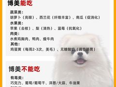 -申普宠物医院·心脏介入·心血管微创(总院)