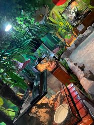 -酷嗒动物文化乐园(cutezoo西溪乐天城店)