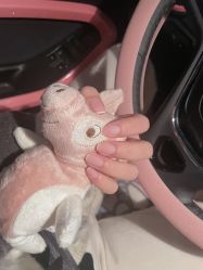 -Miss·A日式美甲美睫