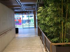 -新加坡明古连奥克伍德酒店