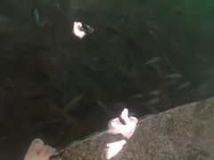 -宝丽金大酒店·洗浴中心