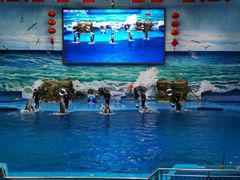 -多彩贵州城极地海洋世界