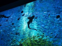 -波塞冬旅游度假区