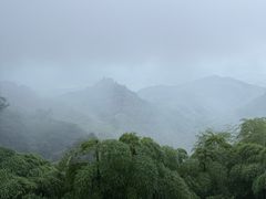 -莫干山风景区