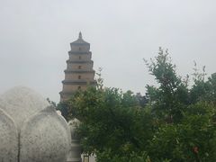 -子午路张记肉夹馍(小寨西路店)