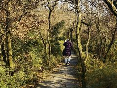 -杭州半山国家森林公园