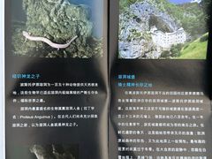 -波斯托伊纳溶洞