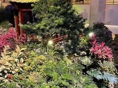 -广州白天鹅宾馆