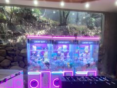 -将军关探险漂流