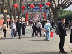 -北京国子监胡同